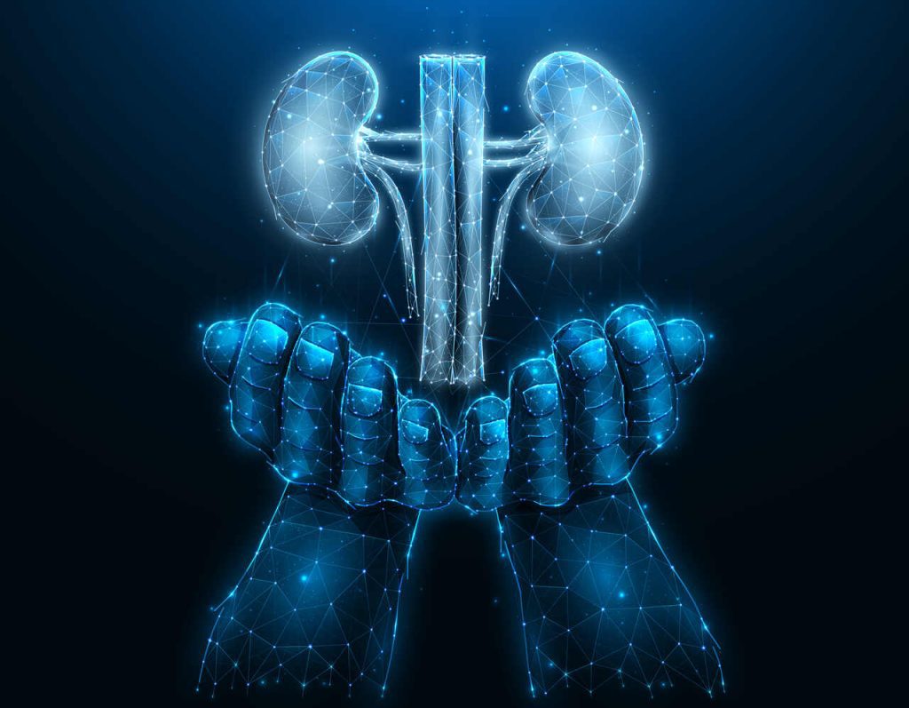 Uropediatria Goiânia - O que é Ureterocele?