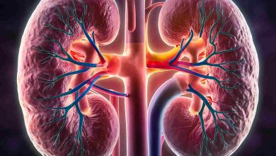 Uropediatria Goiânia - O que é Megaureter e como tratar?
