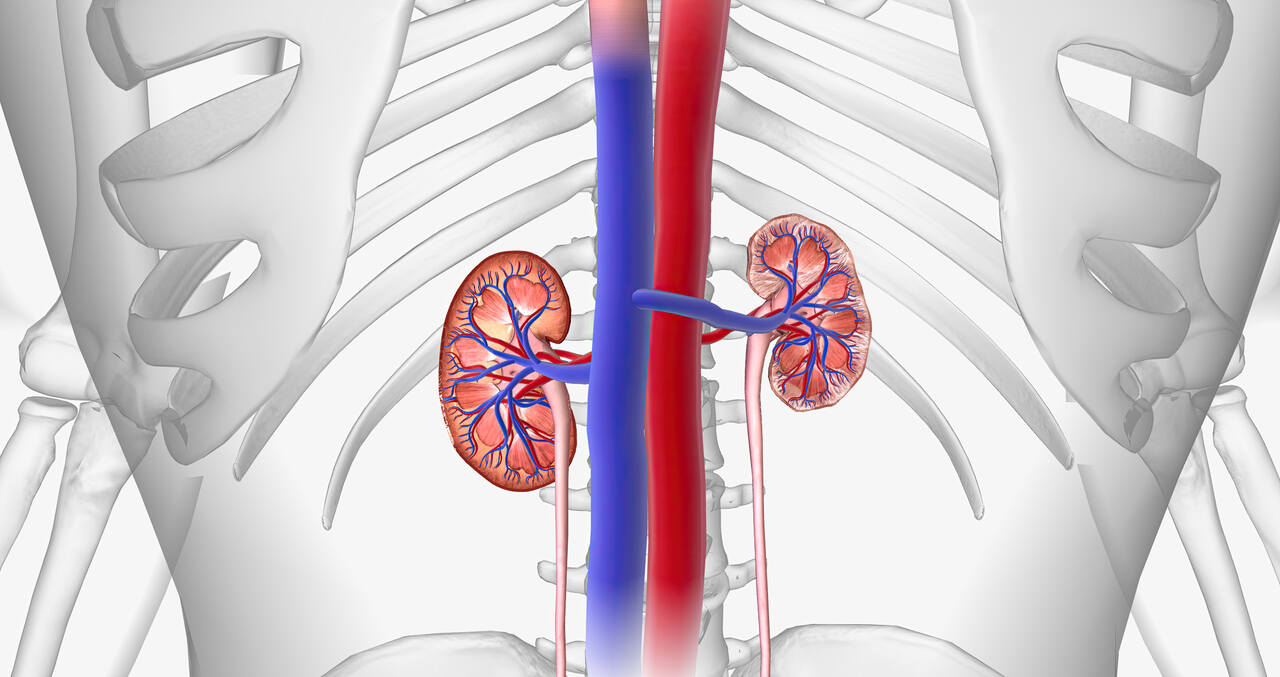 Ureterocele na infância como tratar